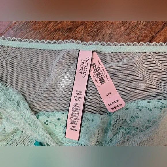 NWT Victoria’s Secret Body By Victoria Mint Floral Lace Mesh Hiphugger Panty L - Picture 2 of 6
